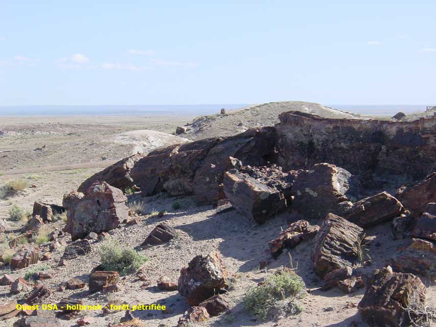 arizona - holbrook - petrified forest